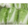 求购大量白菜